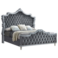 Antonella Upholstered Eastern King Panel Bed Grey - 223581KE