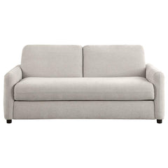 Rylie Upholstered Sofa Sleeper with Queen Mattress Beige - 360027