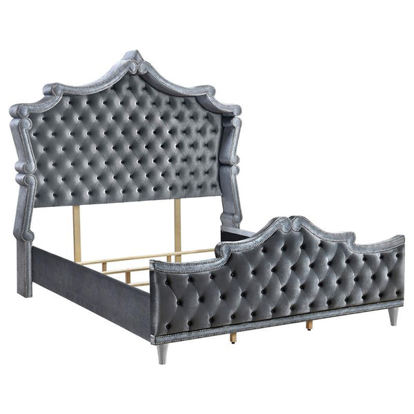 Antonella Upholstered California King Panel Bed Grey - 223581KW