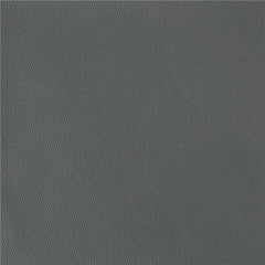 Paulita Upholstered Swivel Side Chairs (Set of 2) Grey and Gunmetal - 110712