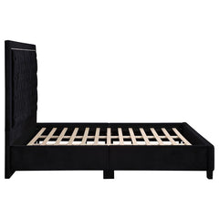 Hailey Upholstered California King Panel Bed Black - 315925KW