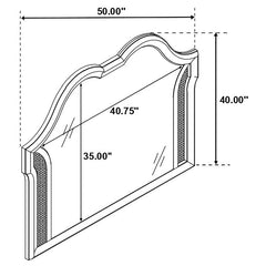 Evangeline 4-piece Queen Bedroom Set Silver Oak - 223391Q-S4