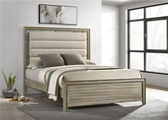 Giselle Wood Queen Panel Bed Rustic Beige - 224391Q