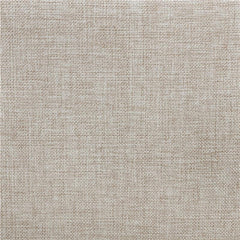 Devon Upholstered Queen Panel Bed Beige - 300525Q