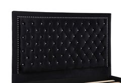 Hailey Upholstered Queen Panel Bed Black - 315925Q