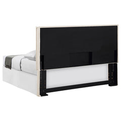 Izzy Upholstered Queen or Full Panel Headboard Sand - 315985QF