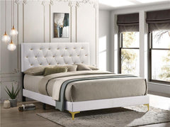 Kendall Upholstered Queen Panel Bed White - 224401Q