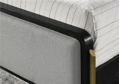 Arini Upholstered Queen Panel Bed Black and Grey - 224331Q