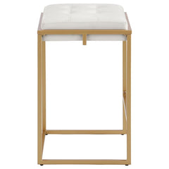 Nadia Square Padded Seat Counter Height Stool (Set of 2) Beige and Gold - 183645
