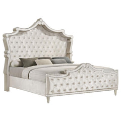 Antonella 5-piece Queen Bedroom Set Ivory - 223521Q-S5