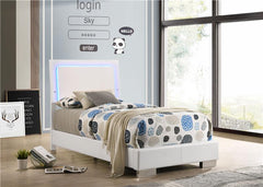 Felicity Wood Twin LED Panel Bed White High Gloss - 203500T
