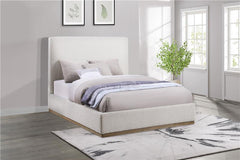 Knox Upholstered Queen Panel Bed Cream - 302053Q