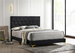 Kendall Upholstered Eastern King Panel Bed Black - 224451KE