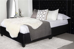 Hailey Upholstered Queen Wall Panel Bed Black - 315925Q-SP