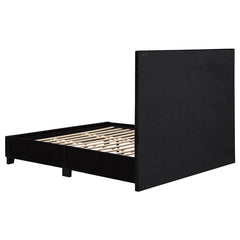 Hailey Upholstered Queen Panel Bed Black - 315925Q