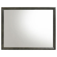 Serenity Rectangular Dresser Mirror Mod Grey - 215844