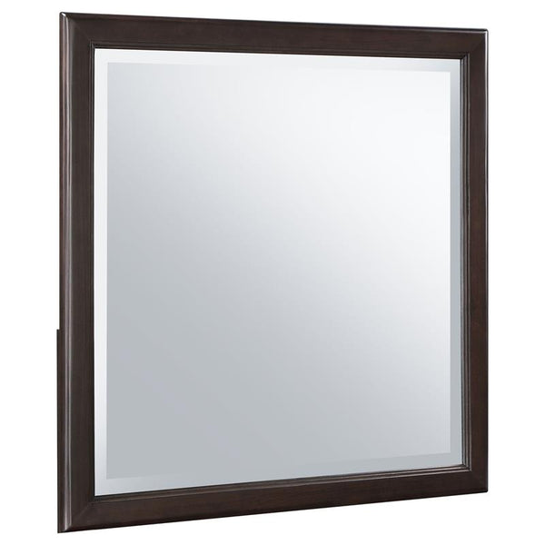 Emberlyn Dresser Mirror Brown - 223064
