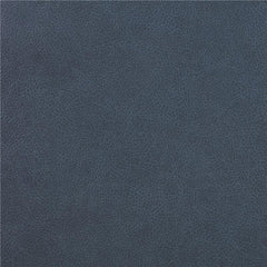Sloane Upholstered Padded Arm Reclining Sofa Blue - 610271