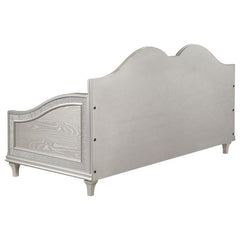 Evangeline Upholstered Twin Daybed Silver Oak - 360121