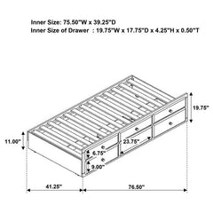 Kensington Twin Over Twin Bunk Bed with Trundle Cappuccino - 460071