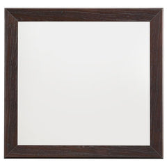 Kauffman Rectangular Dresser Mirror Dark Cocoa - 204394