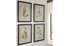 Dyani Wall Art (Set of 4) - A8000198