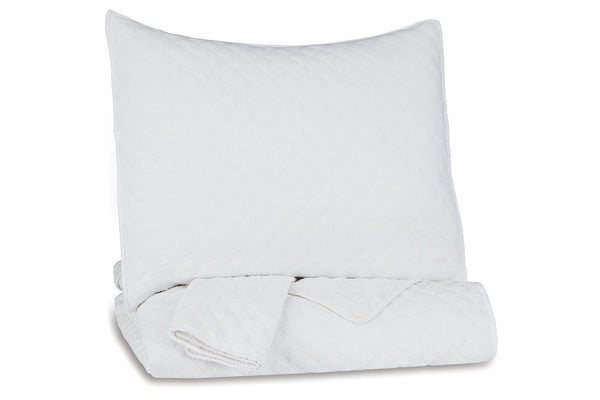 Ryter Twin Coverlet Set - Q721001T