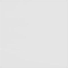 Wyatt Wood Twin Over Twin Bunk Bed White and Natural - 460510