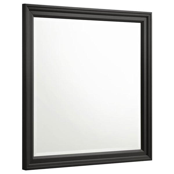 Sandy Beach Vertical Dresser Mirror Black - 201324