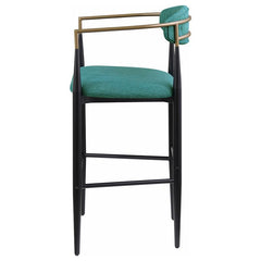 Tina Metal Pub Height Bar Stool with Upholstered Back and Seat Green (Set of 2) - 121188
