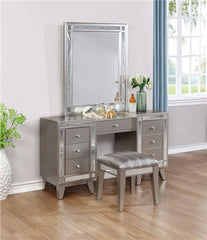 Leighton Vanity Mirror Metallic Mercury - 204928