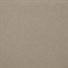 Brentwood Upholstered Motion Reclining Loveseat Taupe - 610282