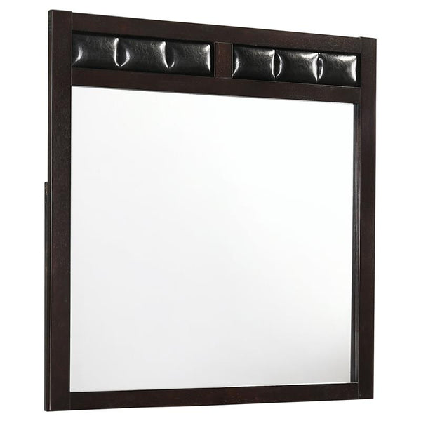 Carlton Upholstered Rectangular Dresser Mirror Cappuccino - 202094