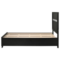 Miranda Wood Twin Storage Panel Bed Black - 206361T