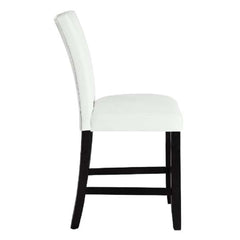 Sandoval Side Chair (Set-2)