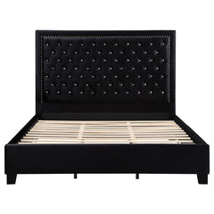 Hailey Upholstered Queen Panel Bed Black - 315925Q