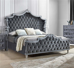 Antonella Upholstered Eastern King Panel Bed Grey - 223581KE